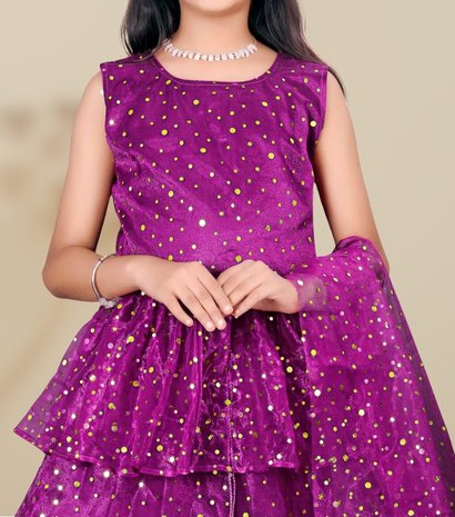 Kids Fancy Lehenga Choli 4