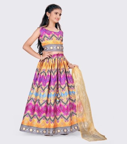Kids Girls Lehenga Choli 4