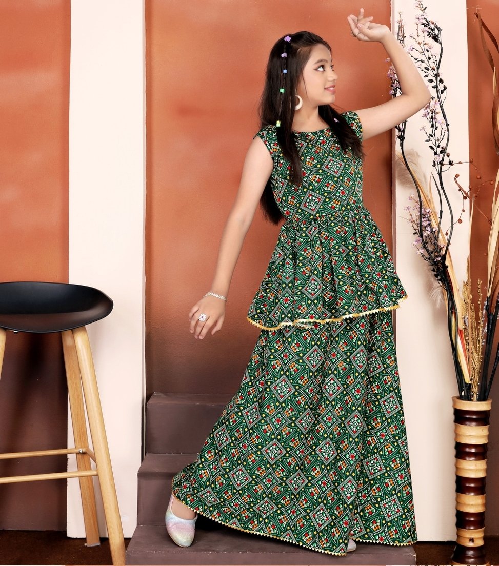 Lehenga Choli 2